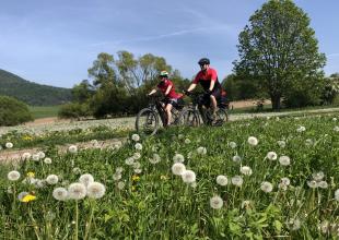 Main eBike Atlas.jpg