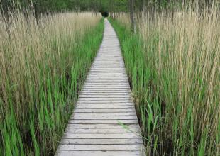 Natureum