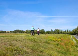 Radfahren auf Rügen