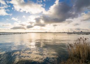 Blick von Altefähr Richtung Stralsund 