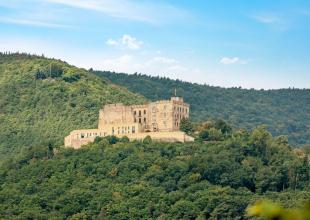 Hambacher Schloss 