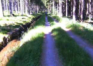 BILD0142.JPG