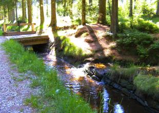 BILD0152.JPG