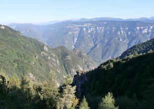 Passo della Vena 