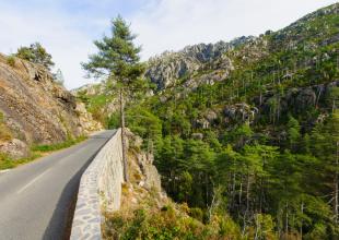 Gorges de la Restonica 