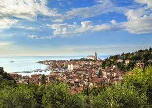 Koper