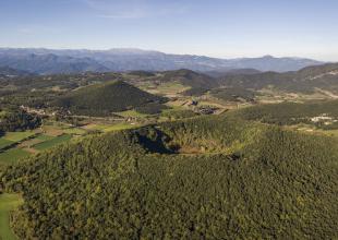 Olot 