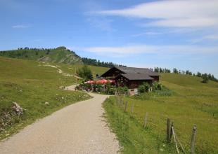 Postalm, an der Postalmstraße, umgeben von grünen Wiesen