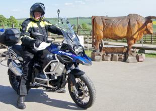 13686 Blue Bird 1.JPG