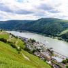 Der Rhein bei Assmannshausen