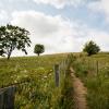 Wandern auf Rügen