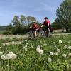 Main eBike Atlas.jpg