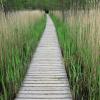 Natureum