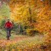 Fahrrad Theme