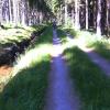 BILD0142.JPG