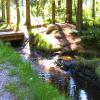 BILD0152.JPG