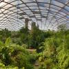 Zoo Leipzig - Tropenerlebniswelt Gondwanaland 