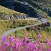 Col d'Esischie / Colle Fauniera