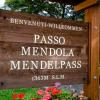 Mendelspass (Passo della Mendola)