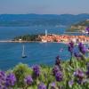 Izola 