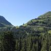 Blick auf den Faschinajoch, welcher umgeben ist von Wald und Wiese.JPG