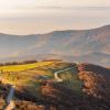 Grand Ballon - Von PhotoGranary - shutterstock_1076102714.jpg
