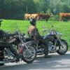 Biker Hotel Hirschen Brandenberg im Schwarzwald 2.jpg