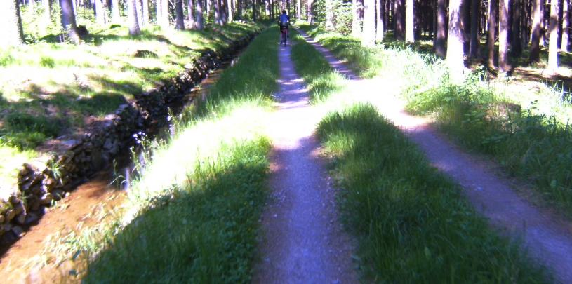 BILD0142.JPG