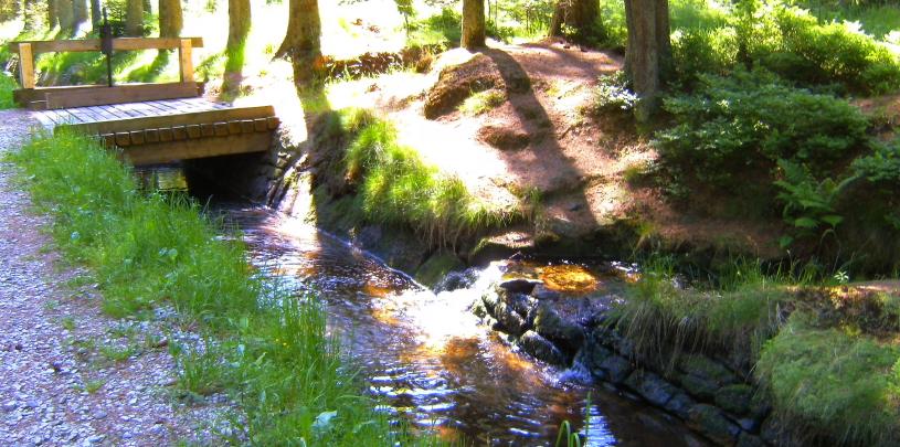 BILD0152.JPG