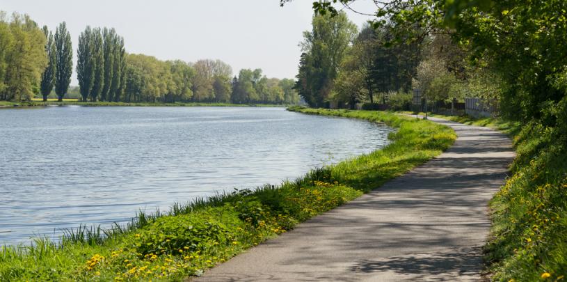 Elbe Radweg