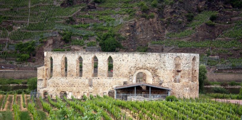 Kloster Ruine Stuben 