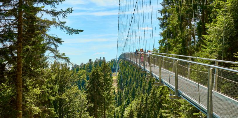 Bad Wildbad 