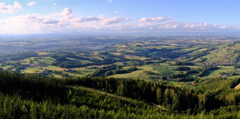 Aussicht von Damberg