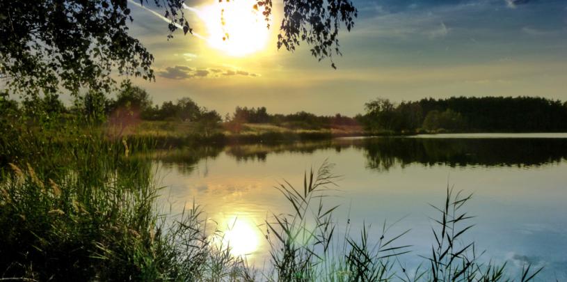 Hammersee 