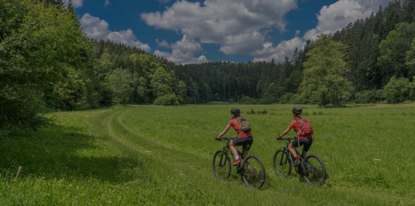 Header Ebike Schwarzwald