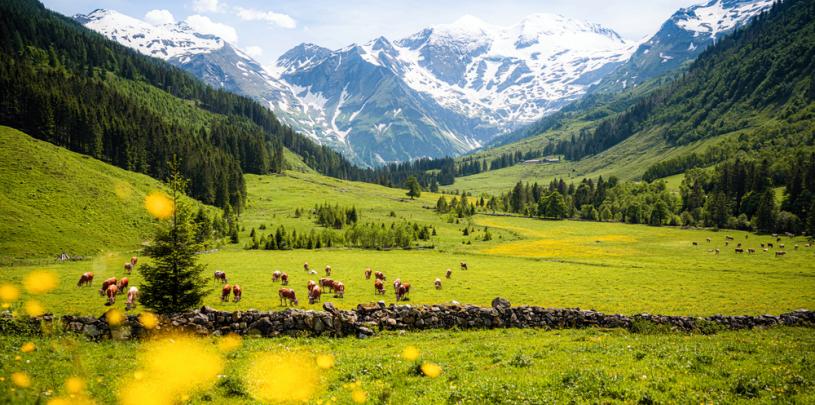 Hohe Tauern 