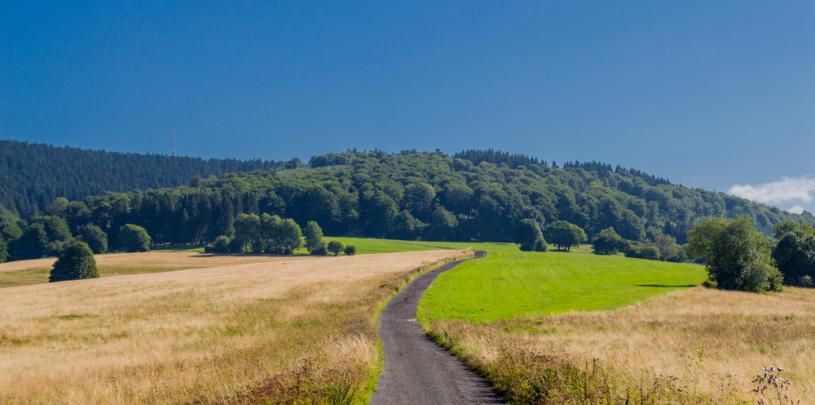 Rennsteig 