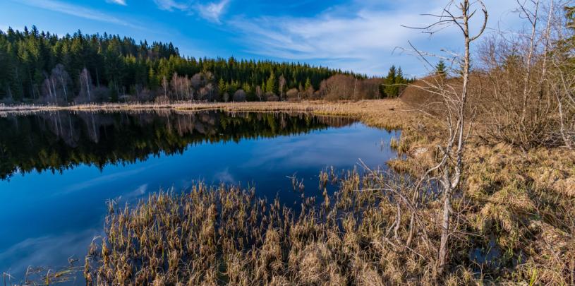 Tanner Moor
