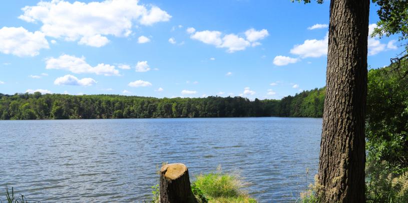 Treppelsee 