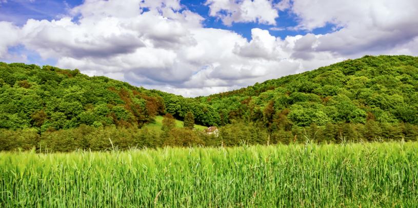 Deilbachtal 
