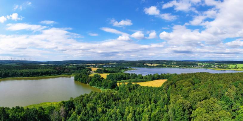 Westerwald Dreifelder Weiher 