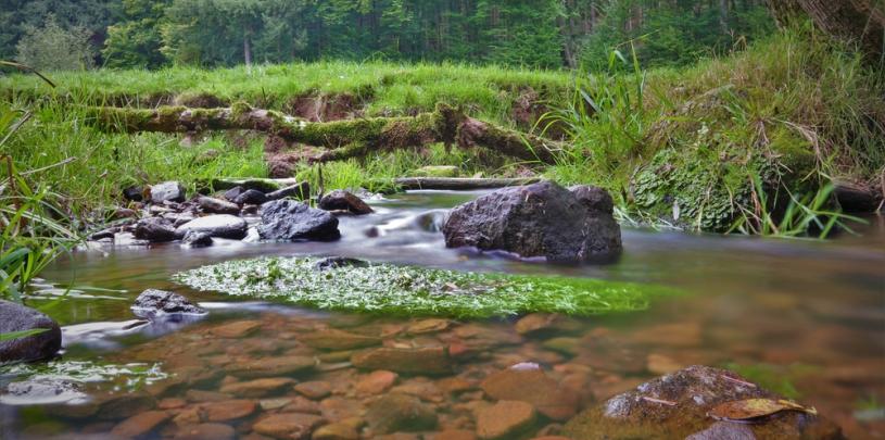 Spessart 