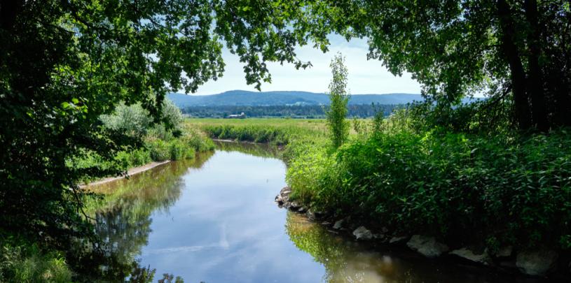 Spessart 