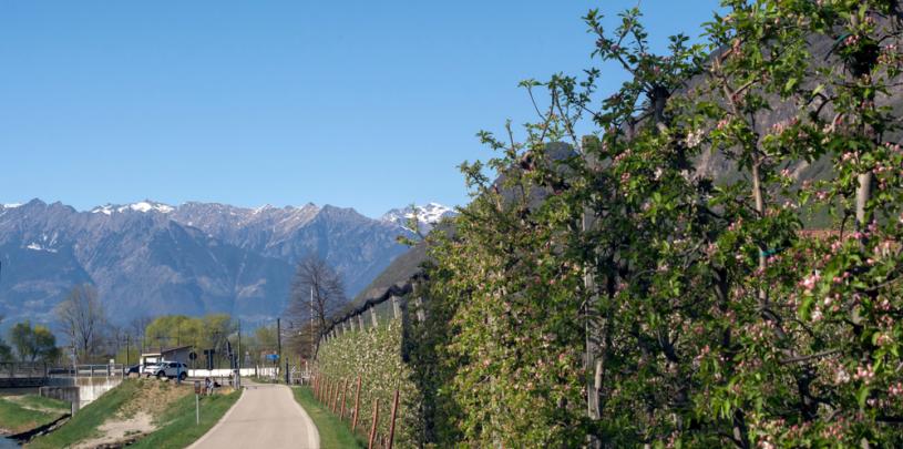 Etschtal 