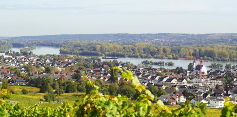Geisenheim 