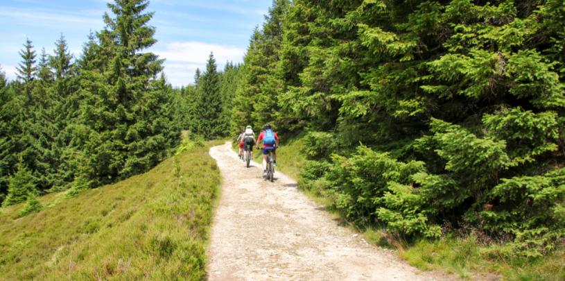 Harz Fahrrad 