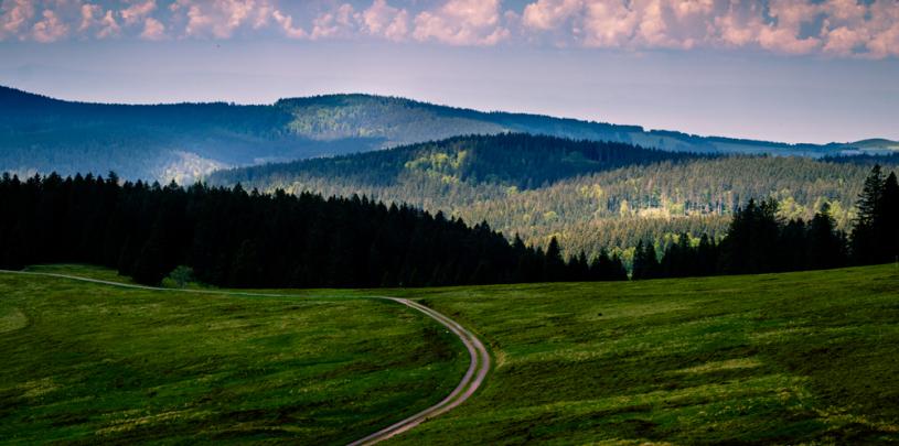 Blick zum Kandel
