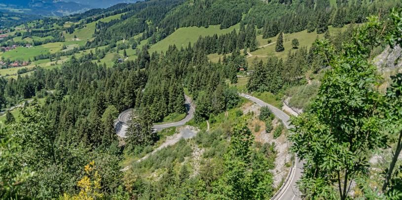 Luftaufnahme des Oberjochpasses, welcher mit Wäldern und Wiesen umgeben ist