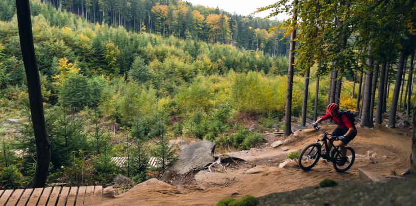 MTB Trail 2