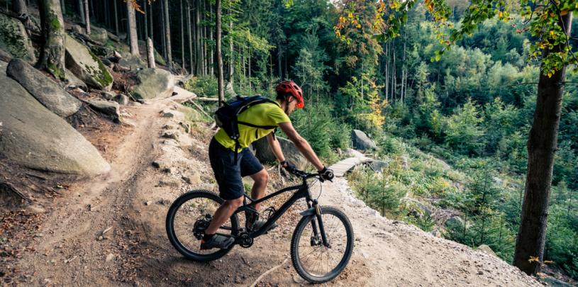 MTB Trail 